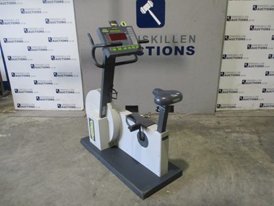 Lot 1 - TECHNOGYM BIKERACE HC600 UPRIGHT CYCLE